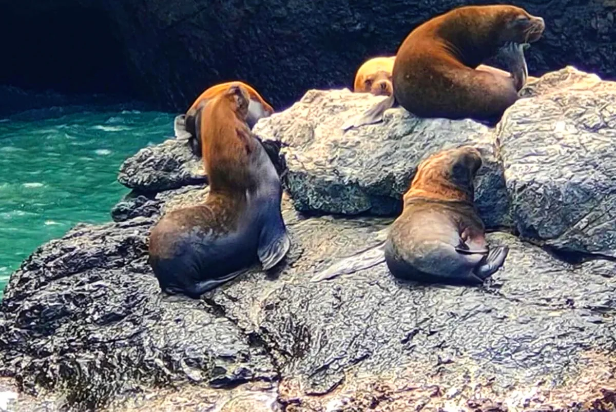 feriado en puerto lopez