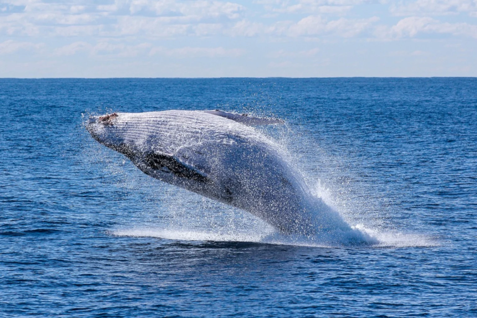 turismo en puerto lopez